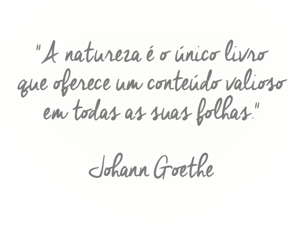 A natureza é o único livro que oferece um conteúdo valioso em todas as suas folhas - Johann Goethe